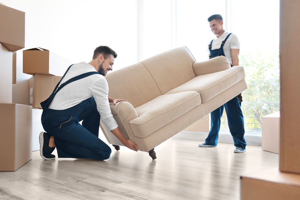 Professional Movers
