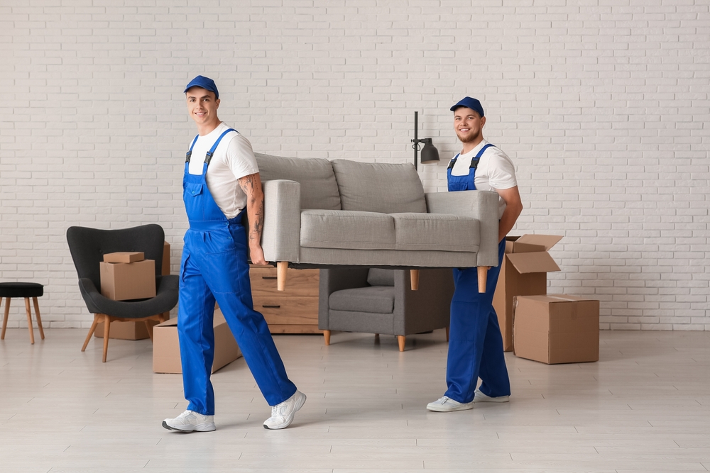 House furniture Shifting